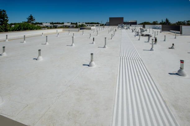 Best Roof Coating and Sealing  in San Jacinto, CA